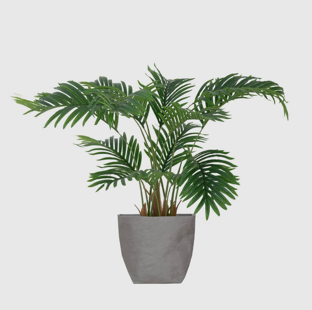 33” Palm Tree | 27” x 27” x 33” H