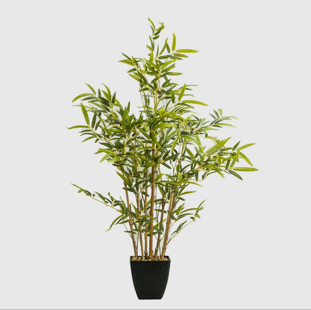 Bamboo Tree in a Container | 32” x 32” x 36” H