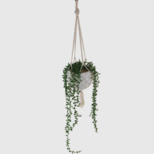 Load image into Gallery viewer, Macrame Hanging Ceramic with Donkey Tails
