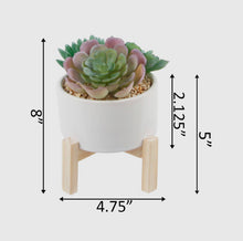 Load image into Gallery viewer, Artificial Succulents in Ceramic Pots
