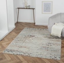 Load image into Gallery viewer, Pre-order Contemporary Distress Medallion Area Rug | Ivory &amp; Gray
